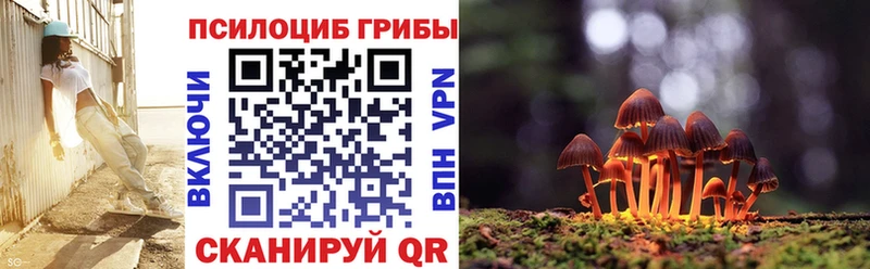 kraken рабочий сайт  Снежногорск  Галлюциногенные грибы Psilocybe 